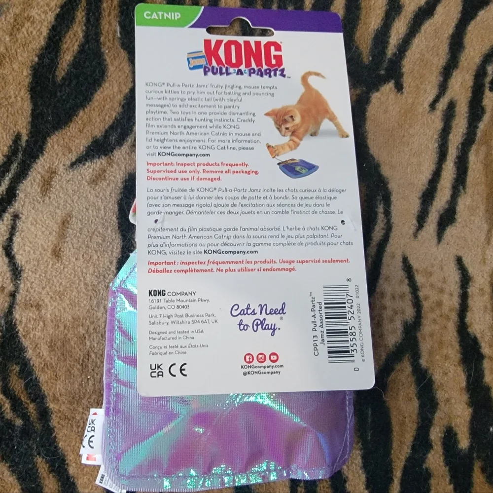 Kong cat kitten